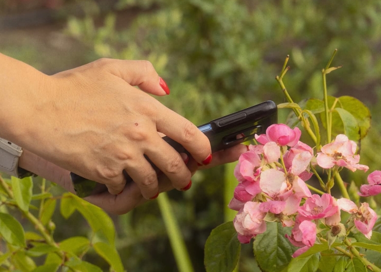 bloom fest un nou festival dedicat florilor si naturii in inima orasului 68c3c8949db18