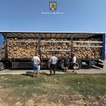 camion supraincarcat cu lemne oprit la topraisar peste 12 tone in plus fata de limita legala 68b9866ab9752