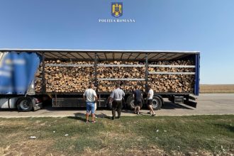 camion supraincarcat cu lemne oprit la topraisar peste 12 tone in plus fata de limita legala 68b9866ab9752
