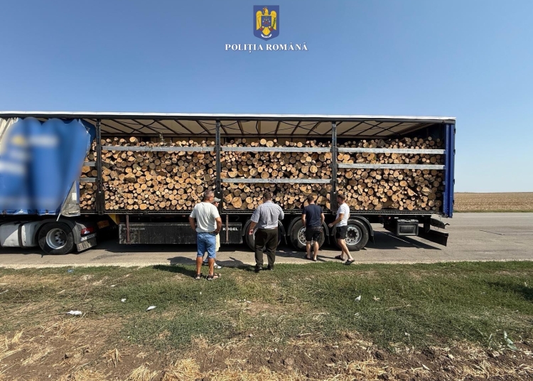 camion supraincarcat cu lemne oprit la topraisar peste 12 tone in plus fata de limita legala 68b9866ab9752