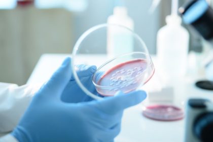 ce este serratia marcescens bacteria descoperita la spitalul sfanta maria din iasi unde au murit sase copii 68d698fdd606b