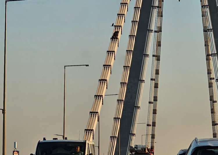 ce spune ipj constanta despre barbatul care s a urcat pe podul agigea alte 3 interventii in cazul lui in ultimii ani 68bea23e41e4b