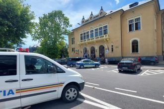 cea mai sincera audiere din instanta la constanta beau zilnic dupa program cum face orice om dau mancare la furnici 68c736d20cf1b