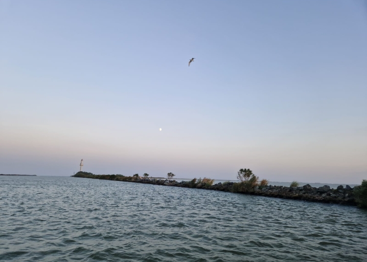 cresteri de taxe si obligatii de tranzactionare pentru gazele din marea neagra 68c3ce7b7e298