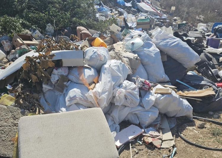 foto amenda de 50 000 de lei pentru gestionarea defectuoasa a deseurilor in mangalia 68d0ed0a6f165