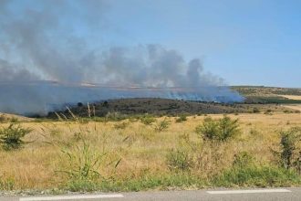 incendiu de vegetatie uscata intre topraisar si mereni 68c03b31cf08e