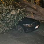 masina unchiului simonei halep distrusa dupa ce un copac s a prabusit peste ea 68c8157d7d412