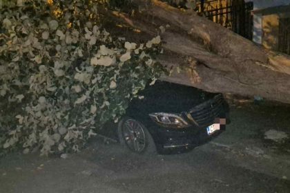 masina unchiului simonei halep distrusa dupa ce un copac s a prabusit peste ea 68c8157d7d412