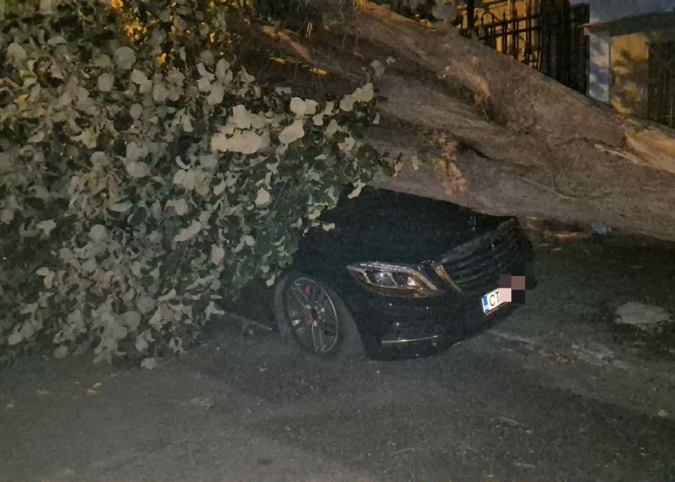 masina unchiului simonei halep distrusa dupa ce un copac s a prabusit peste ea 68c8157d7d412