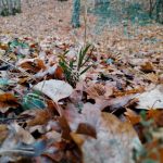 meteorologii anunta temperaturi ridicate peste normalul perioadei la inceput de septembrie 68b6973c821c4