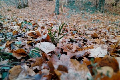meteorologii anunta temperaturi ridicate peste normalul perioadei la inceput de septembrie 68b6973c821c4