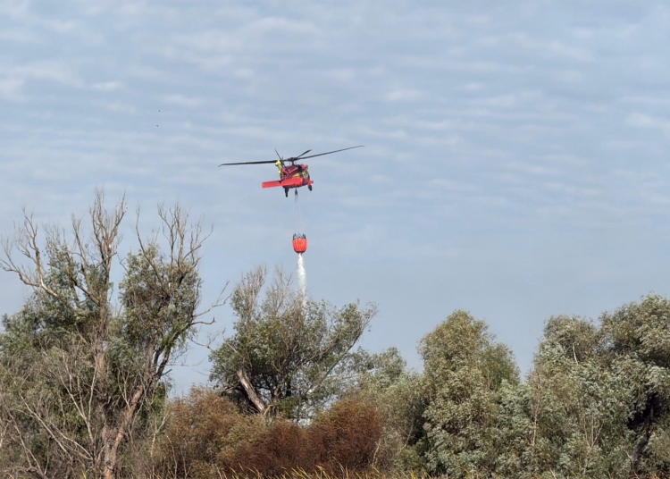 misiune de stingere in incinta sireasa din delta dunarii 68c2ae2f56180