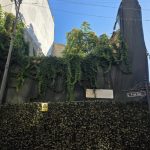 o poveste noua pentru o casa veche mediul este de acord cu o reabilitare de 620 000 de euro in peninsula 68c48ce29d65b