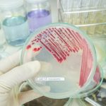 opt bebelusi de la maternitatea din targu mures au fost infectati cu bacteria ucigasa de la iasi 68dbdba1b219a