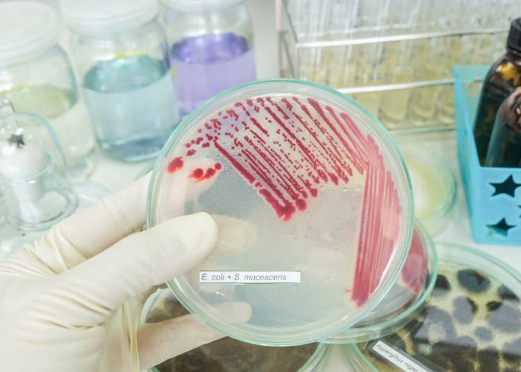 opt bebelusi de la maternitatea din targu mures au fost infectati cu bacteria ucigasa de la iasi 68dbdba1b219a