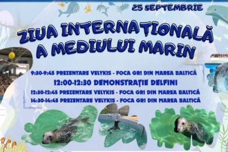 ziua internationala a mediului marin sarbatorita la complexul muzeal de stiinte ale naturii constanta 68d5d8530b508