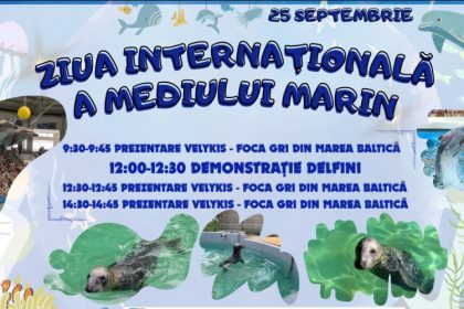 ziua internationala a mediului marin sarbatorita la complexul muzeal de stiinte ale naturii constanta 68d5d8530b508