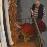 A sustras un ghiveci din centrul orașului: proprietara bijuteriei solicită ajutorul comunității pentru a-l identifica. 13 a furat un ghiveci din centrul constantei patroana bijuteriei cere ajutorul comunitatii pentru a l identifica 68fdea3936256