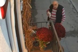 a furat un ghiveci din centrul constantei patroana bijuteriei cere ajutorul comunitatii pentru a l identifica 68fdea3936256