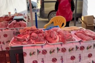 alerta alimentara aproximativ doua tone de carne de porc posibil infectata cu pesta porcina retrase din magazine 68f88a7f07876