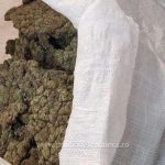 aproximativ 22 de kilograme de canabis descoperite pe aeroportul otopeni 68f36b1bc8970