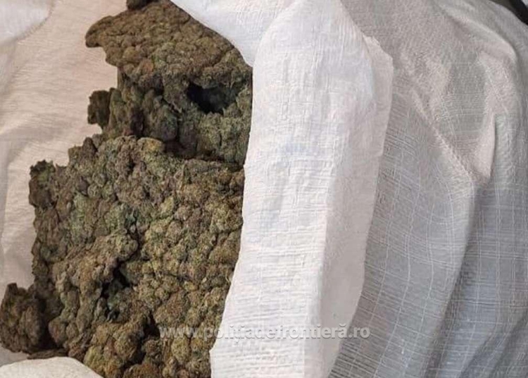 aproximativ 22 de kilograme de canabis descoperite pe aeroportul otopeni 68f36b1bc8970