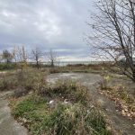 consilierii usr constanta nu vor ca administratia locala sa vanda un teren din mamaia ci sa amenajeze un loc de joaca 69012b72a7132