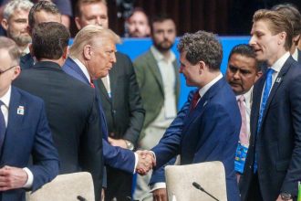 cristian diaconescu lucram pentru o intalnire donald trump nicusor dan 68e128a825dc3