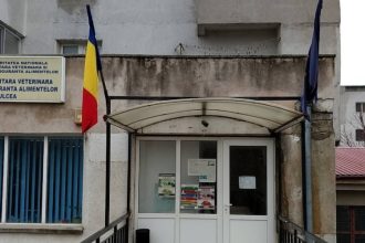 curtea de conturi a gasit nereguli la dsvsa tulcea lucrari facute fara autorizatie 68e2fcb20b759