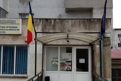 curtea de conturi a gasit nereguli la dsvsa tulcea lucrari facute fara autorizatie 68e2fcb20b759