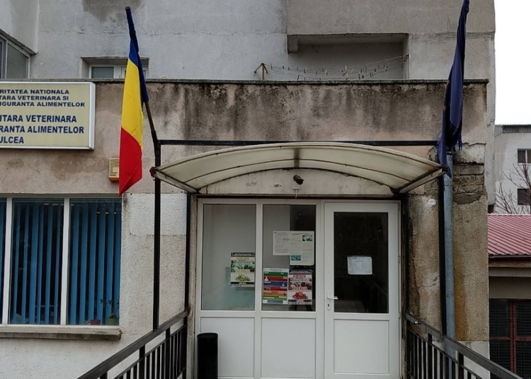 curtea de conturi a gasit nereguli la dsvsa tulcea lucrari facute fara autorizatie 68e2fcb20b759