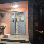 delfinasii n au renuntat la traditionalul spectacol aniversar va multumesc din suflet pungasilor galerie foto video 68f4b61da7168