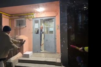 delfinasii n au renuntat la traditionalul spectacol aniversar va multumesc din suflet pungasilor galerie foto video 68f4b61da7168