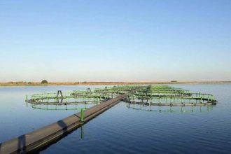 ferma piscicola de peste 30 de milioane de lei in marea neagra proiect inovator la mangalia 68ddc0155d65b