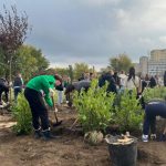 galerie foto saptamana verde la tulcea 300 de arbori si arbusti dau viata unei noi zone verzi langa parcul ciuperca 68fa236d15c0b