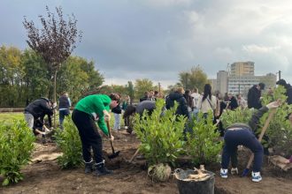 galerie foto saptamana verde la tulcea 300 de arbori si arbusti dau viata unei noi zone verzi langa parcul ciuperca 68fa236d15c0b