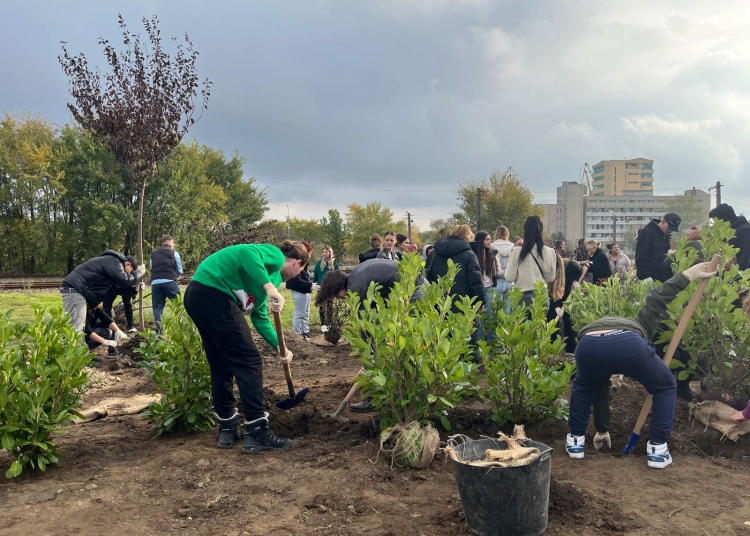 galerie foto saptamana verde la tulcea 300 de arbori si arbusti dau viata unei noi zone verzi langa parcul ciuperca 68fa236d15c0b