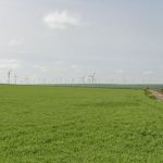 gigantul american apple anunta oficial ca investeste in romania unde se va construi un parc eolian de 99 mw 68ee277498a7f