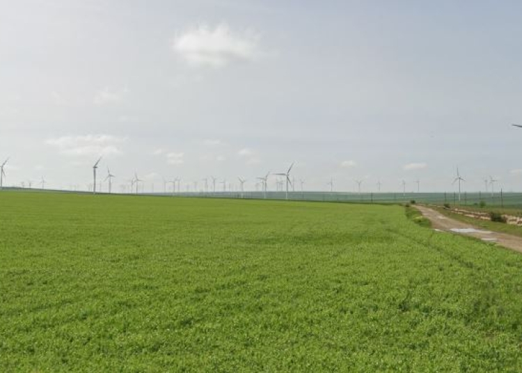 gigantul american apple anunta oficial ca investeste in romania unde se va construi un parc eolian de 99 mw 68ee277498a7f