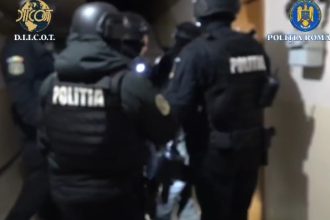 grupare specializata in falsuri si inselaciuni destructurata de diicot covasna legaturi si in constanta documente contrafacute vandute cu pana la 3 000 de euro 68ea6c61d46a8