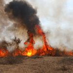 incendiile de vegetatie s au triplat in tulcea fata de anul trecut peste 4 400 de hectare au fost afectate 68e36dc0cc00f