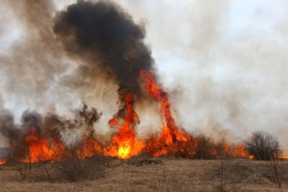 incendiile de vegetatie s au triplat in tulcea fata de anul trecut peste 4 400 de hectare au fost afectate 68e36dc0cc00f