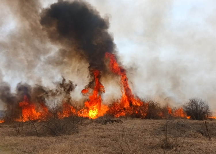 incendiile de vegetatie s au triplat in tulcea fata de anul trecut peste 4 400 de hectare au fost afectate 68e36dc0cc00f