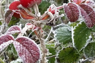 meteorologii anunta o vreme mai rece decat in mod normal in unele zone va ploua 68eca96cc4e6d