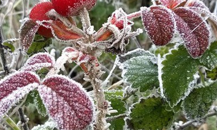 meteorologii anunta o vreme mai rece decat in mod normal in unele zone va ploua 68eca96cc4e6d