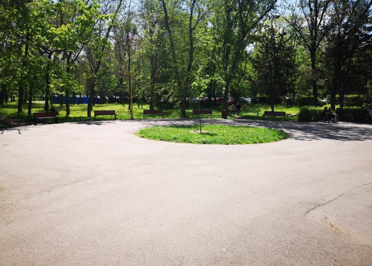 municipalitatea investeste 59 milioane de lei in reabilitarea sistemului de irigatii din parcul tabacarie 68eee5d4890a5