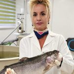 pastravul curcubeu noua specie adaptata la marea neagra 68e4c19b97849