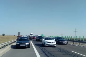 pericol public pe strazile din constanta un individ care face colectie de condamnari a mai adaugat una la palmares 68eed5649873f
