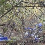 pilotul avionului prabusit in vaslui proprietarul unui cunoscut lant de cafenele 68fa01715cb89