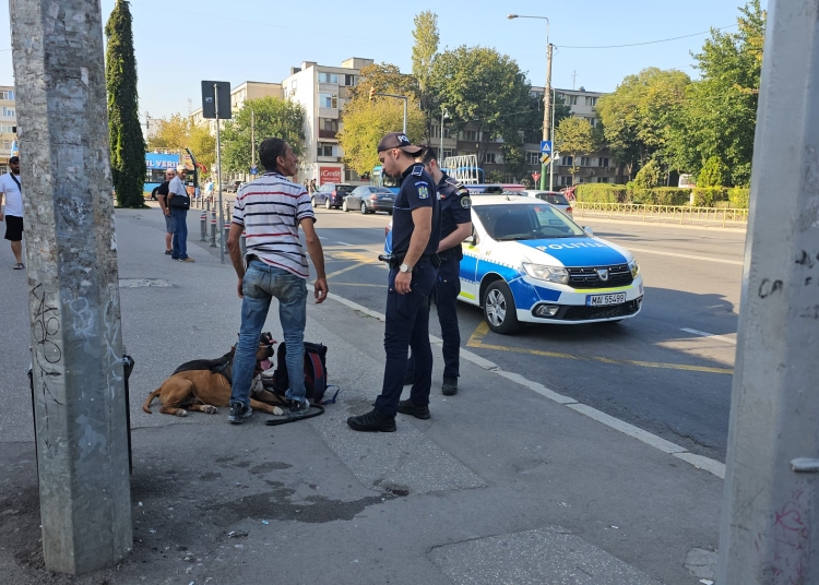 politistii din costniseti i au verificat pe detinatorii de caini periculosi in cadrul unei actiuni preventive 68fb4e418f00e
